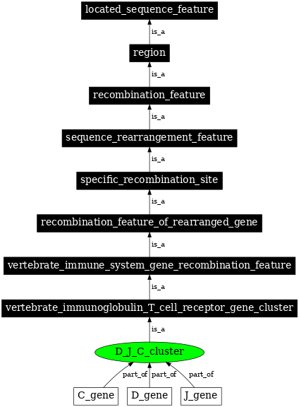 Graph image for SO:0000509
