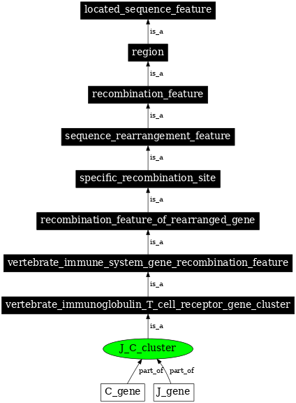 Graph image for SO:0000511