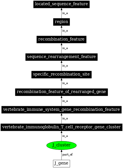 Graph image for SO:0000513