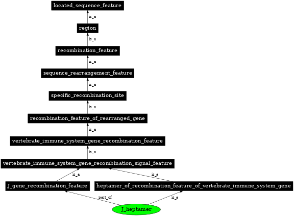 Graph image for SO:0000515
