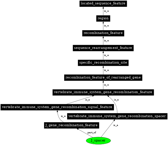 Graph image for SO:0000517
