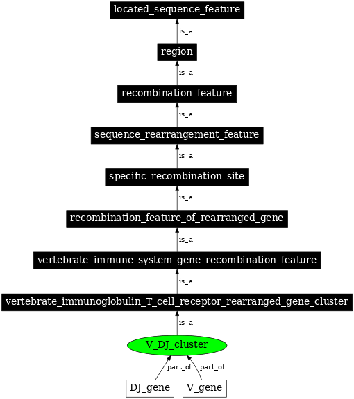 Graph image for SO:0000518