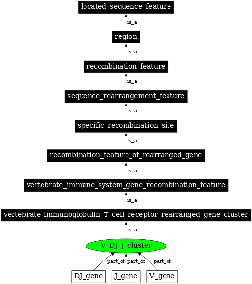Graph image for SO:0000519
