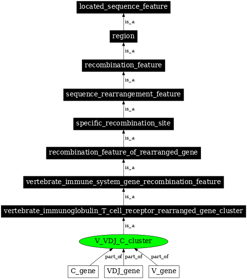 Graph image for SO:0000520