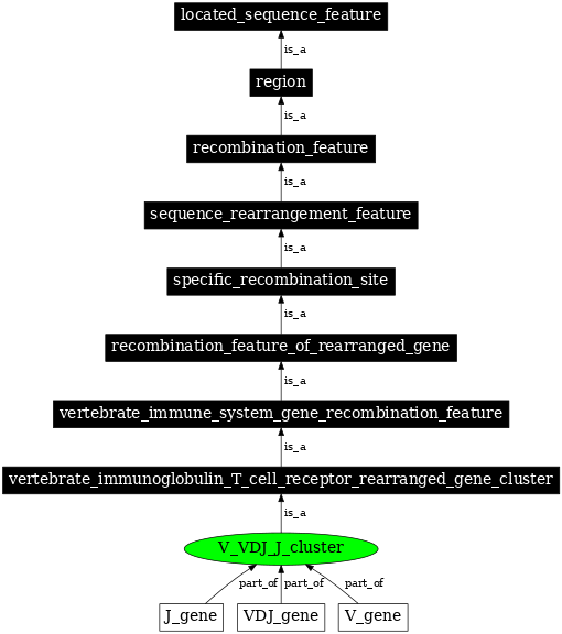 Graph image for SO:0000522