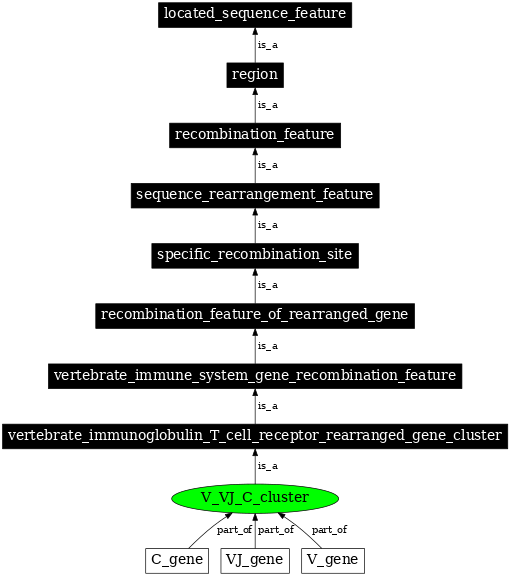 Graph image for SO:0000523