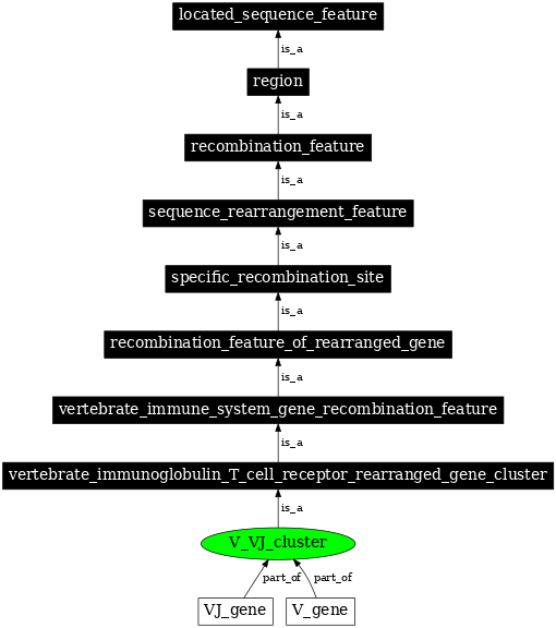 Graph image for SO:0000524