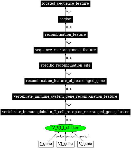 Graph image for SO:0000525
