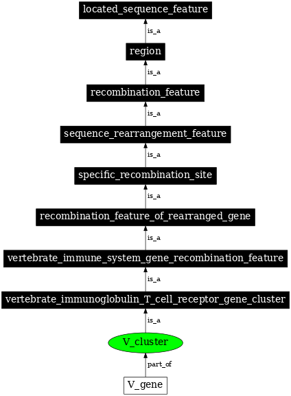 Graph image for SO:0000526