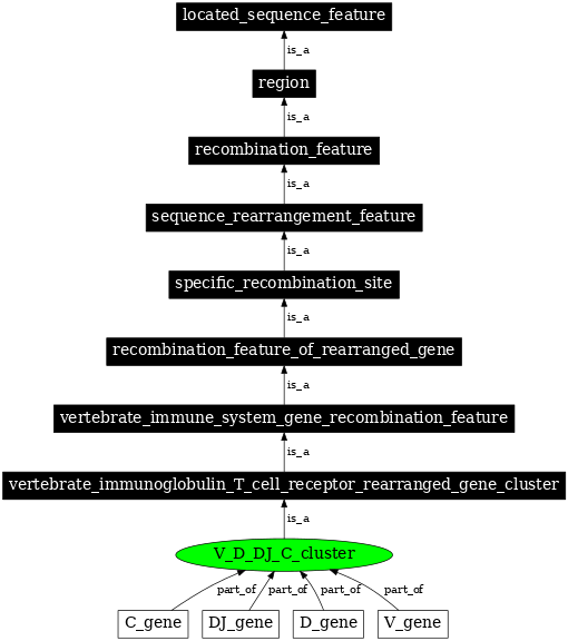 Graph image for SO:0000527