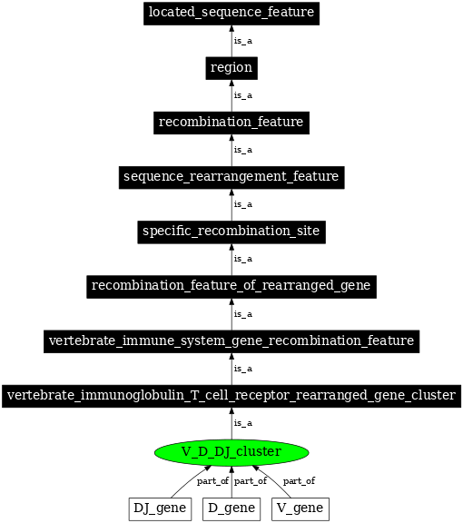 Graph image for SO:0000528
