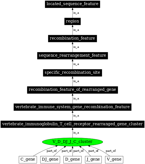 Graph image for SO:0000529