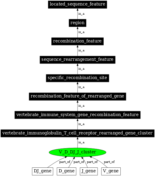 Graph image for SO:0000530