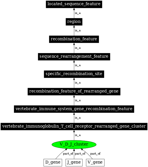 Graph image for SO:0000532