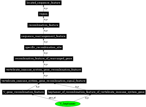 Graph image for SO:0000533