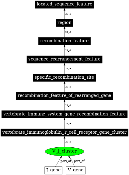 Graph image for SO:0000534