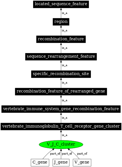 Graph image for SO:0000535