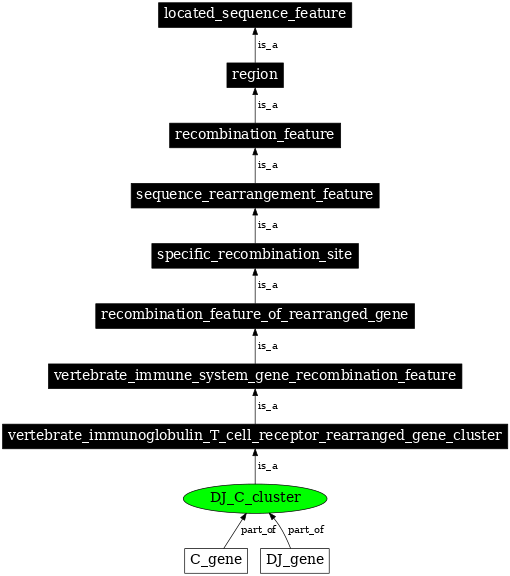 Graph image for SO:0000539