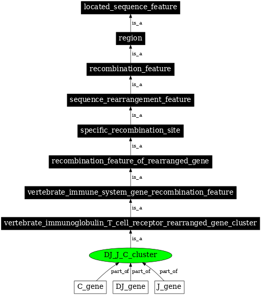 Graph image for SO:0000540
