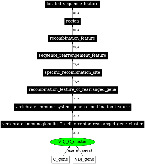 Graph image for SO:0000541