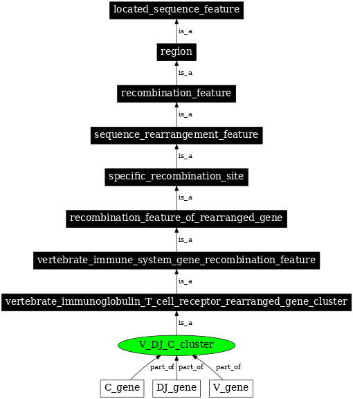 Graph image for SO:0000542