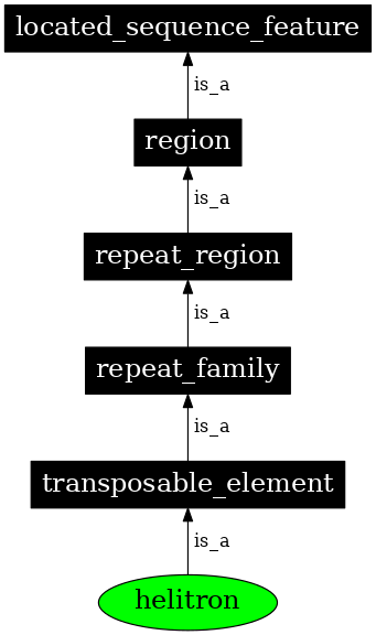 Graph image for SO:0000544
