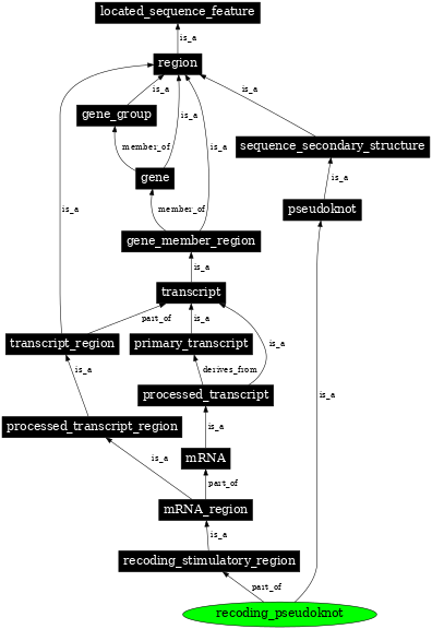 Graph image for SO:0000545