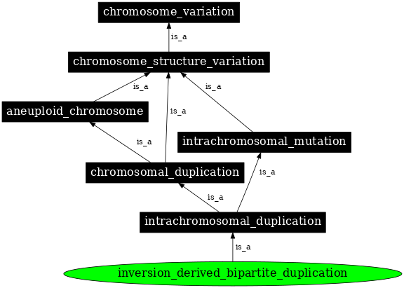 Graph image for SO:0000547