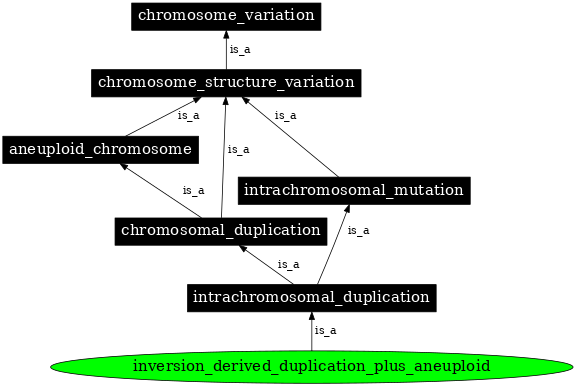 Graph image for SO:0000549