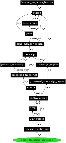 Graph image for SO:0000552
