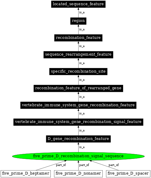 Graph image for SO:0000556