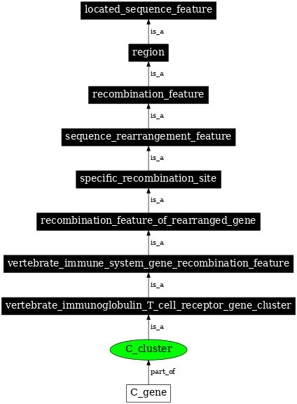 Graph image for SO:0000558