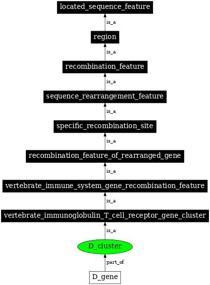 Graph image for SO:0000559