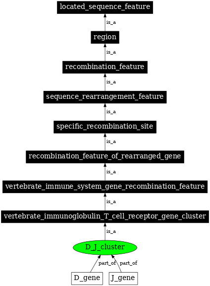 Graph image for SO:0000560