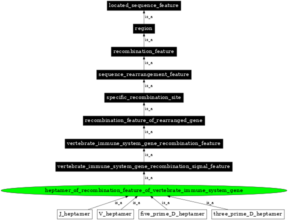 Graph image for SO:0000561