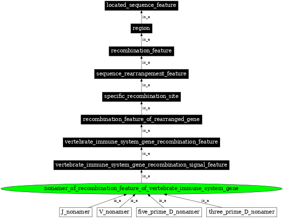 Graph image for SO:0000562