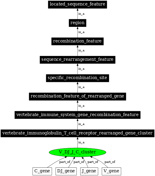 Graph image for SO:0000564