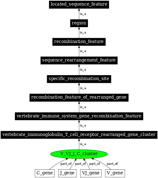 Graph image for SO:0000566