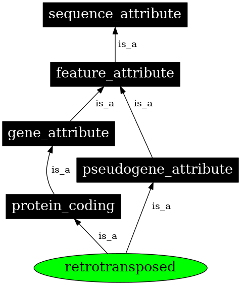 Graph image for SO:0000569