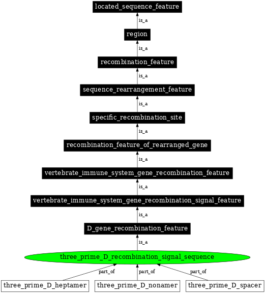 Graph image for SO:0000570