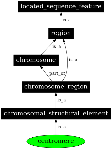 Graph image for SO:0000577