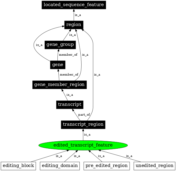 Graph image for SO:0000579