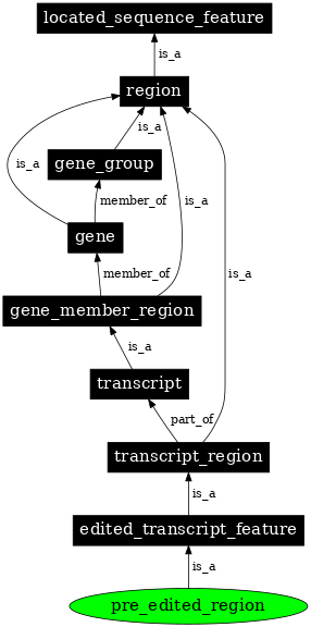Graph image for SO:0000583