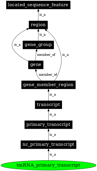 Graph image for SO:0000586