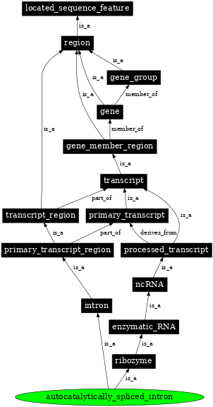 Graph image for SO:0000588