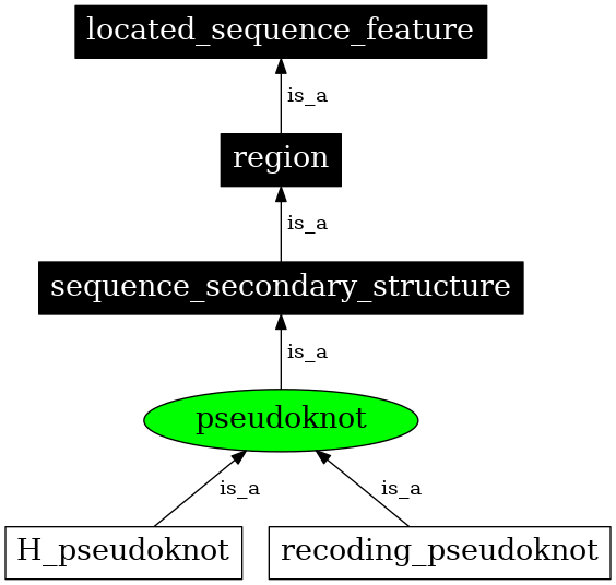 Graph image for SO:0000591