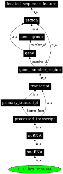Graph image for SO:0000593