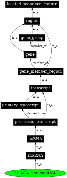 Graph image for SO:0000594