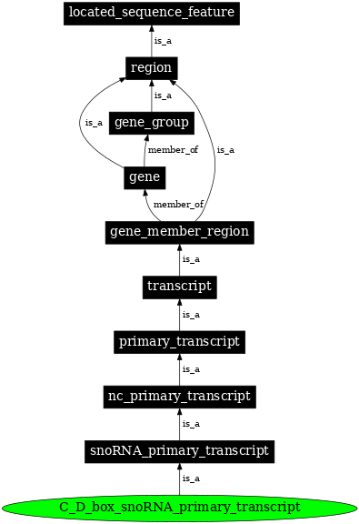 Graph image for SO:0000595