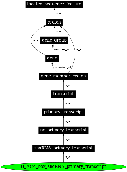 Graph image for SO:0000596